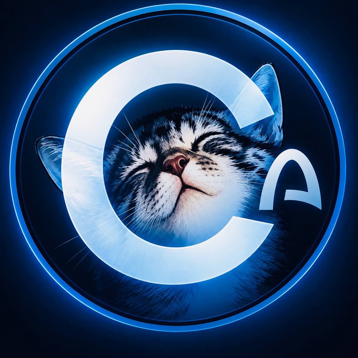 CATE's blue illuminated coin with a sleeping cat